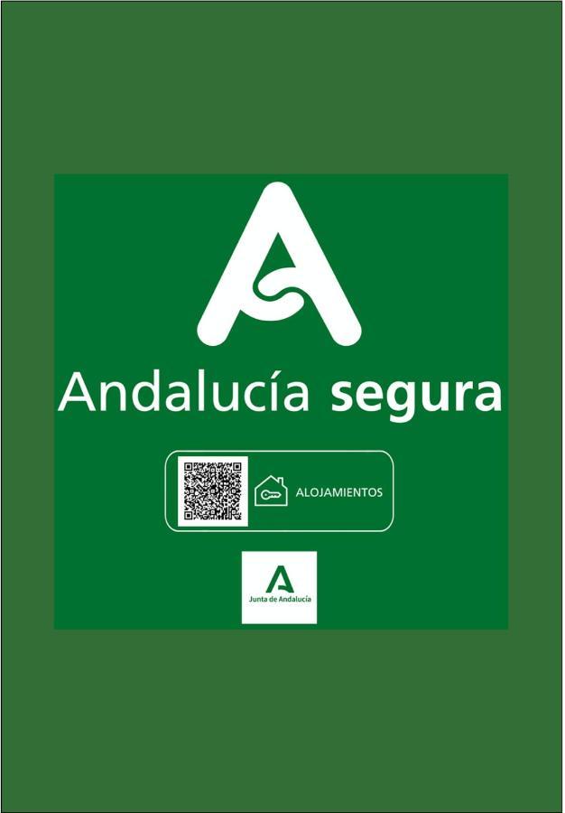 Holidays2malaga Refino Pool And Parking * Málaga